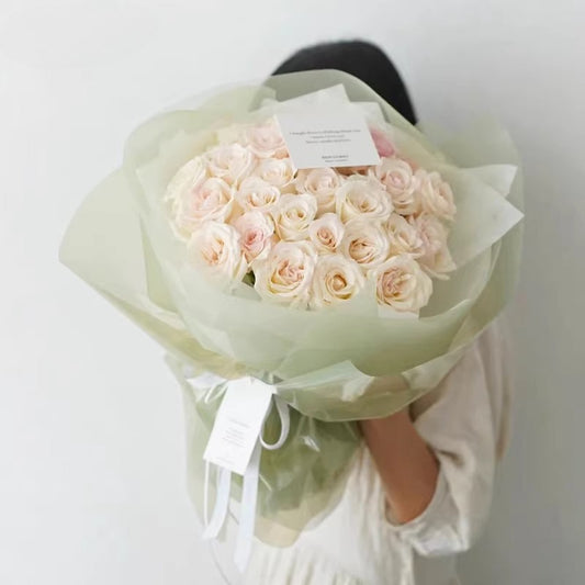 20pcs Colored Clear Cellophane Wrap Sheet (58x58cm)