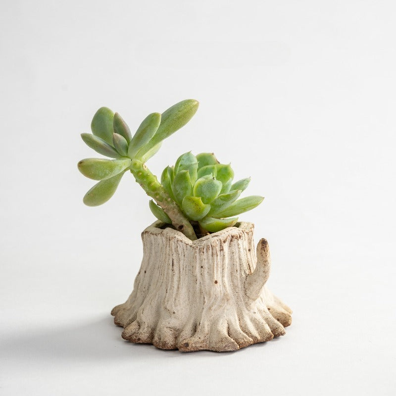 Mini Tree Stump Ceramic Succulent Planter