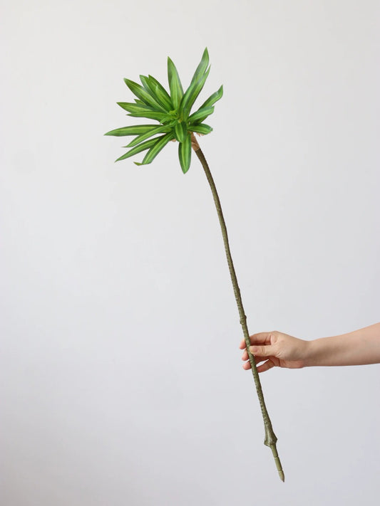 Tige de dracaena artificielle de 32 po