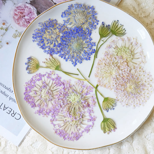 50 Pcs Real Pressed Dried Lace Flowers