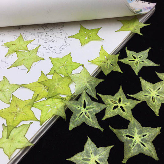 10 Pcs Real Pressed Dried Star Fruit Slices