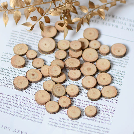 Natural Wood Slices Circles with Bark for DIY Crafts