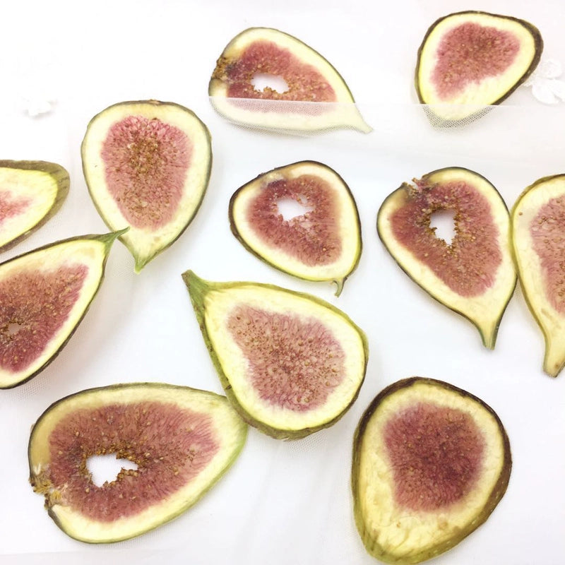 10 Pcs Real Dried Pressed Fig Slices