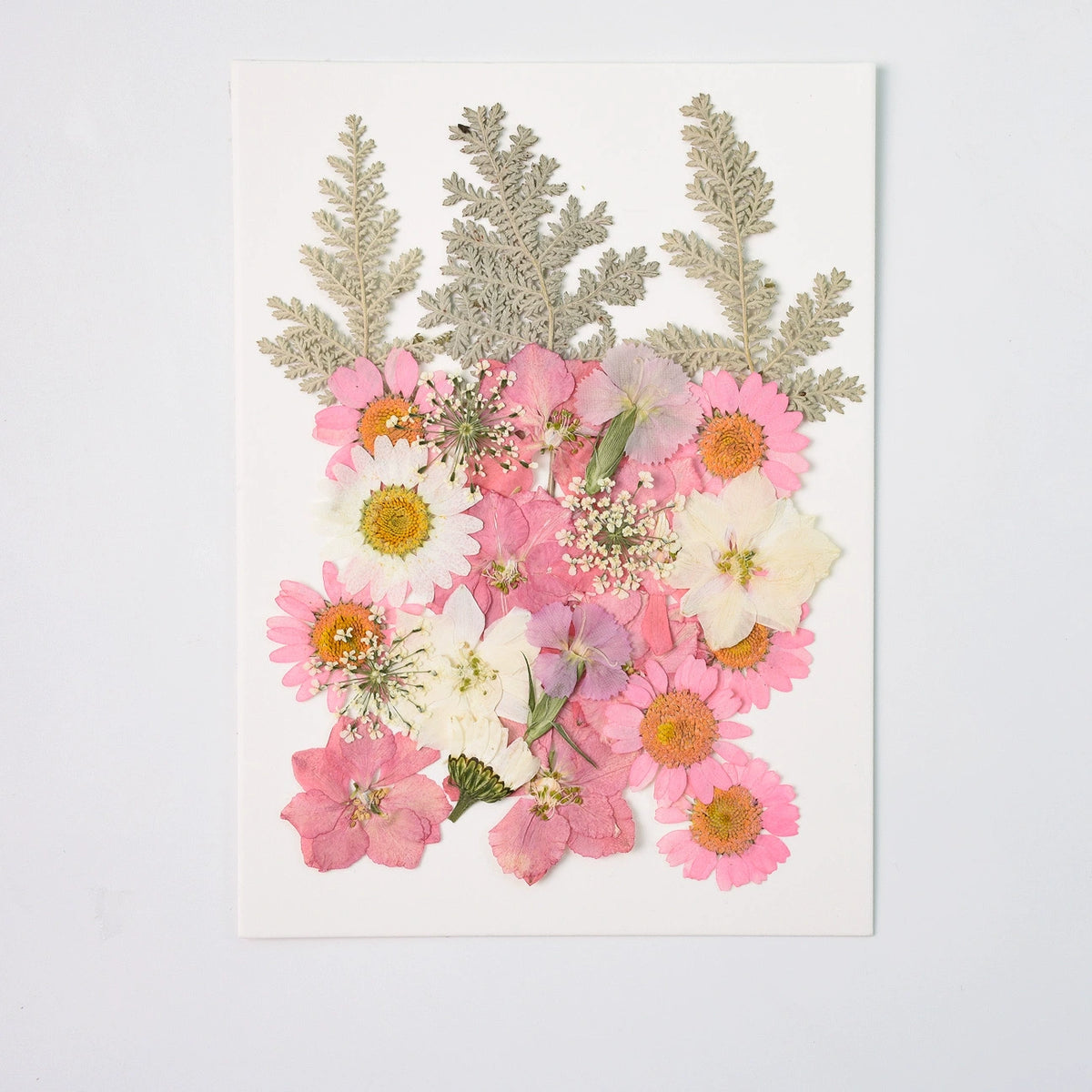 26 Pcs Mixed Dried Pressed Flowers Leaves