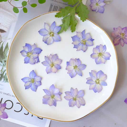 50 Pcs Vibrant Dyed Pressed Delphinium Flowers