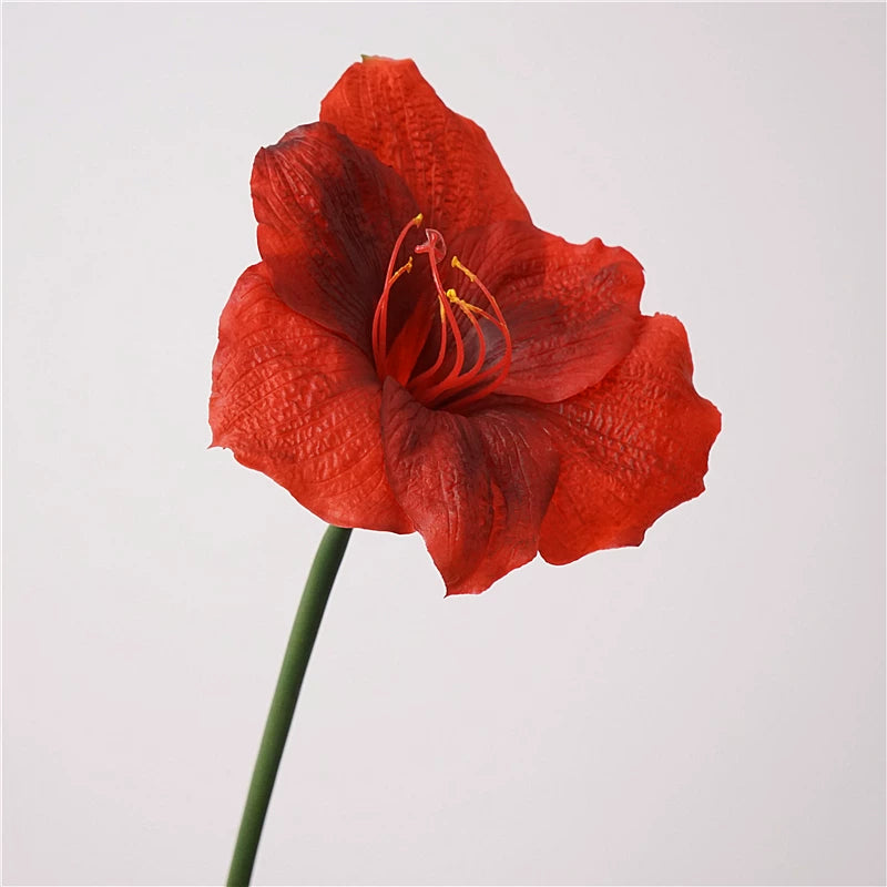 21" Real Touch Artificial Clivia Stem