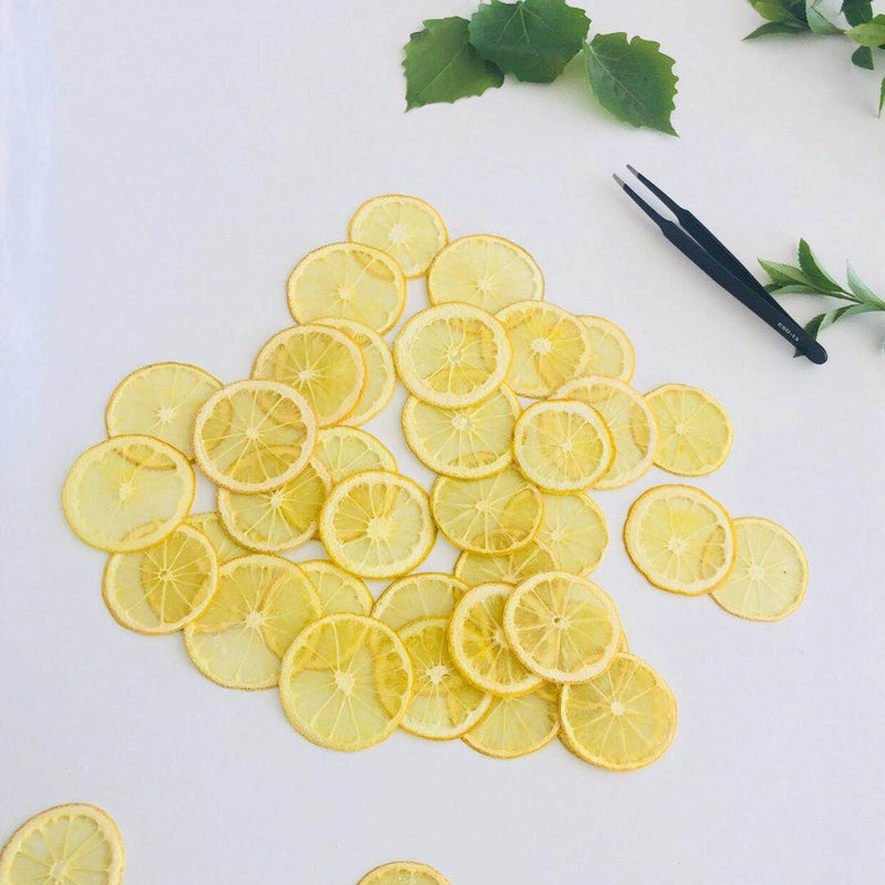 10 Pcs Real Dried Pressed Lemon Slices