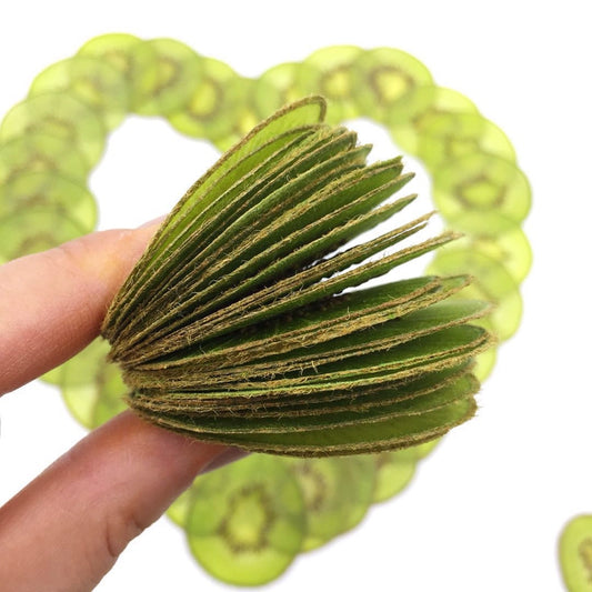 10 Pcs Real Dried Pressed Kiwi Slices