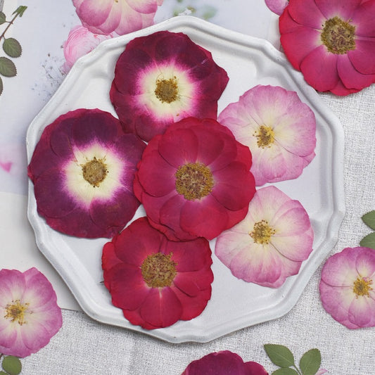 50 Pcs Real Dried Pressed Rose Blossoms