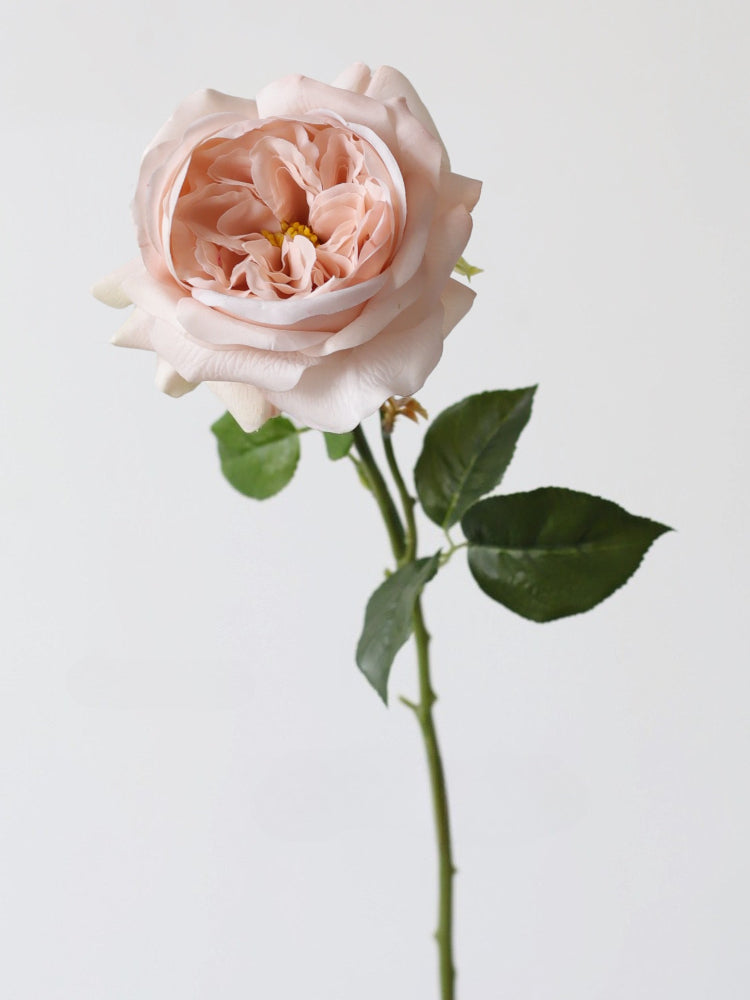 26" Real Touch Notting Hill Rose Stem