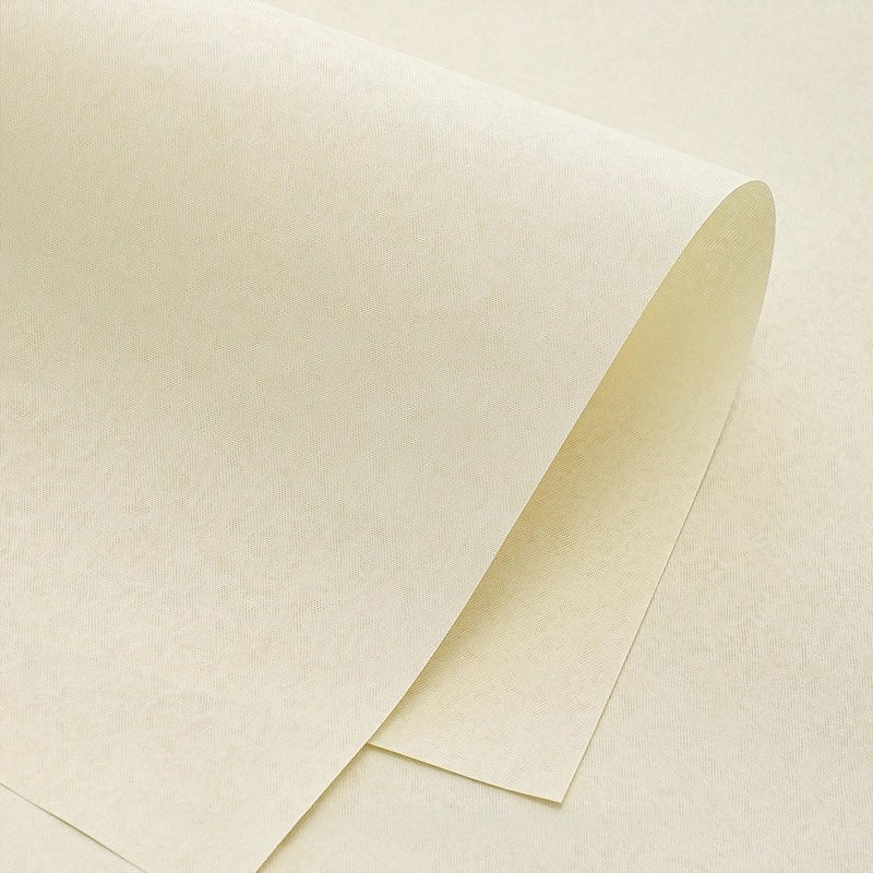8pcs Subtle Textured Bouquet Wrap Paper (35x54cm)