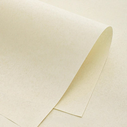 8pcs Subtle Textured Bouquet Wrap Paper (35x54cm)