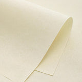 Load image into Gallery viewer, 8pcs Subtle Textured Bouquet Wrap Paper (35x54cm)