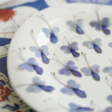 Load image into Gallery viewer, Real Dried Pressed Blue Butterfly Flowers