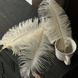 Load image into Gallery viewer, 35cm Ostrich Feather Bouquet Decor Pack 10