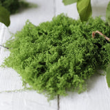 Load image into Gallery viewer, Realistic Faux Green Moss (100g)