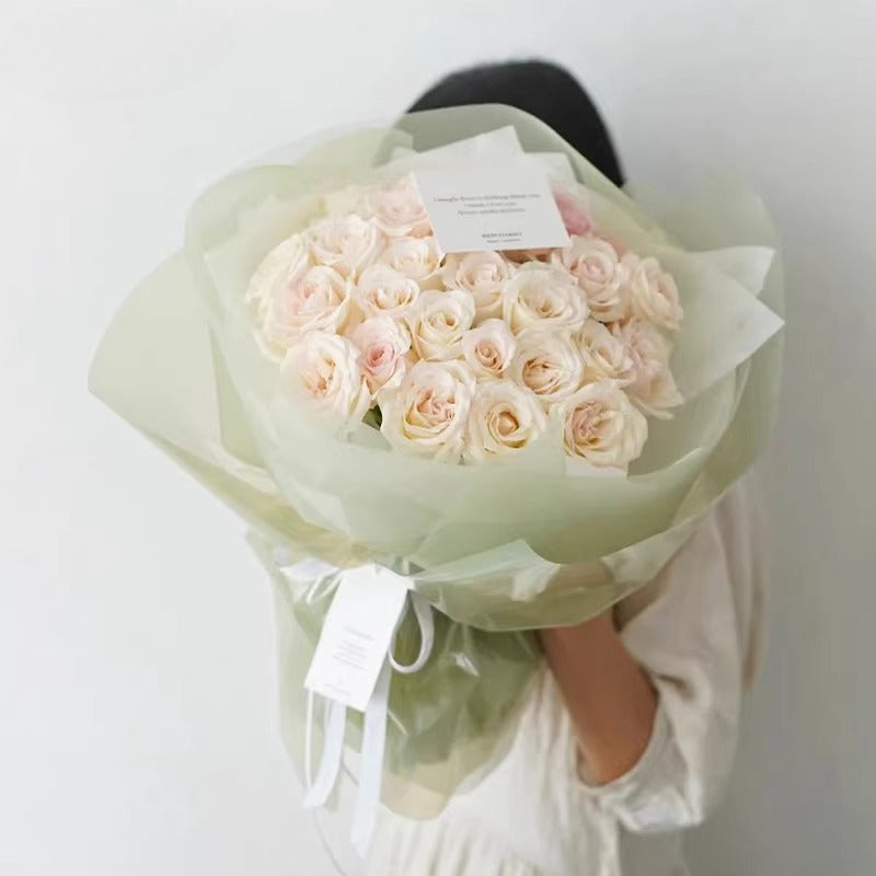 20pcs Colored Clear Cellophane Wrap Sheet (58x58cm)