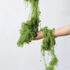 Light Green 100g