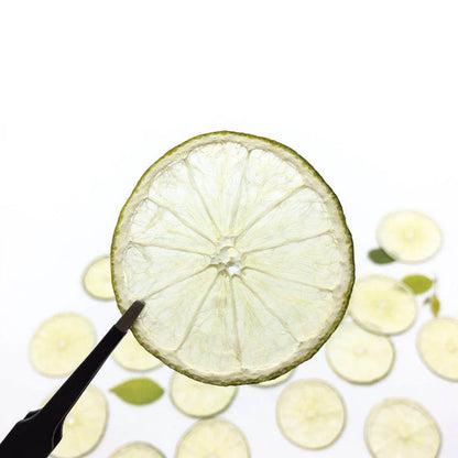 Real Dried Pressed Green Lemon Slices