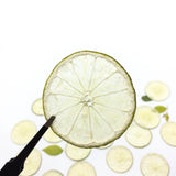 Load image into Gallery viewer, 10 Pcs Real Dried Pressed Green Lemon Slices