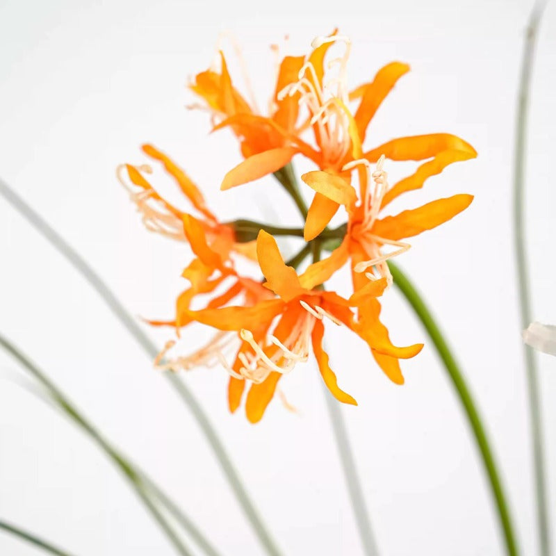 orange spider lily flower Artificial Spider Lily Flower with Leaves 54cmH – Floral Supplies Store