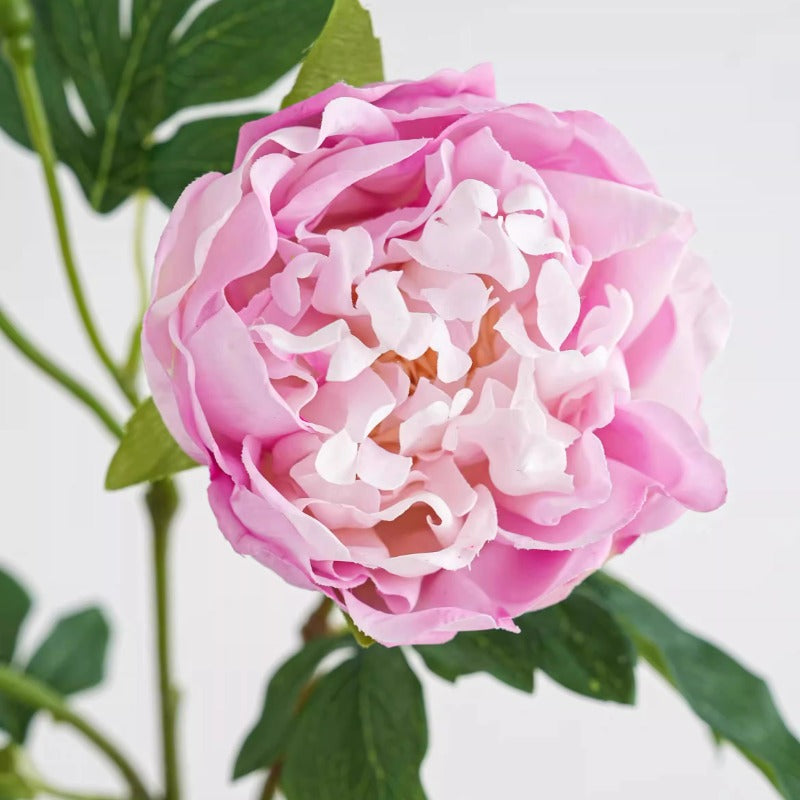32" 3-Head Real Touch Silk Peony Stem