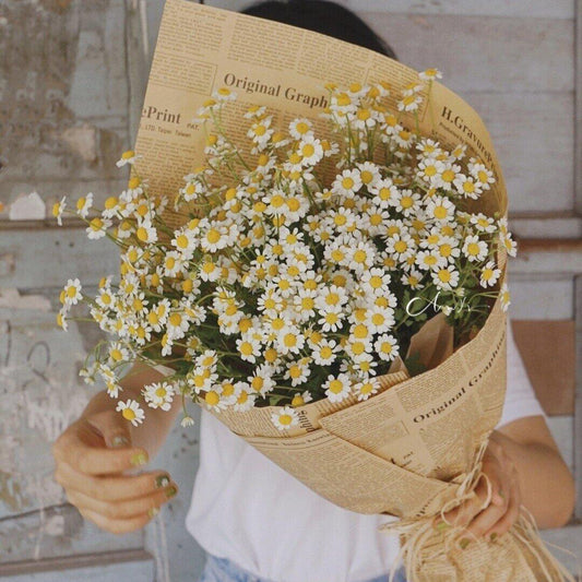 Vintage Newspaper Bouquet Paper Pack 40 (20" x 28")