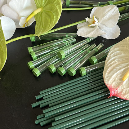10 tubes à fleurs allongés avec tiges de fixation
