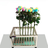 Load image into Gallery viewer, Stainless Steel Flower Dyeing Cultivation Rack