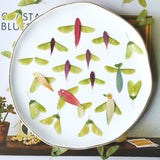 Load image into Gallery viewer, 50 Pcs Dried Pressed Wing-Shaped Seed Pods