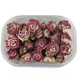 Load image into Gallery viewer, Real Dried Rose Heads for DIY Crafting