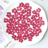 50pcs red