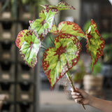 Load image into Gallery viewer, 26" Artificial Begonia Leaf Spray