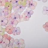 Load image into Gallery viewer, 100 Pcs Dried Pressed Watercolor Hydrangea Petals