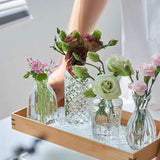 Load image into Gallery viewer, Set of 10 Clear Mini Glass Bud Vases