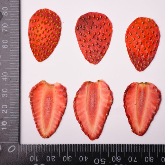 10 Pcs Dried Pressed Strawberry Slices
