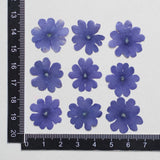 Load image into Gallery viewer, 50 Pcs Dried Pressed Blue Verbena Flowers