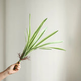 Load image into Gallery viewer, 20.5" Artificial Variegated Orchid Grass Bush