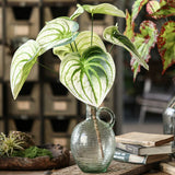Load image into Gallery viewer, 26" Artificial Begonia Leaf Spray