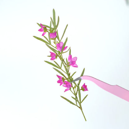 Real Dried Pressed Pink Flower Stems