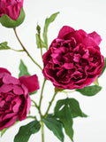 Load image into Gallery viewer, Artificial Florence Nicholls Peony Flower (81cmH)