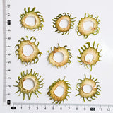 Load image into Gallery viewer, Whimsical Sun-Shaped Pressed Stem Slices