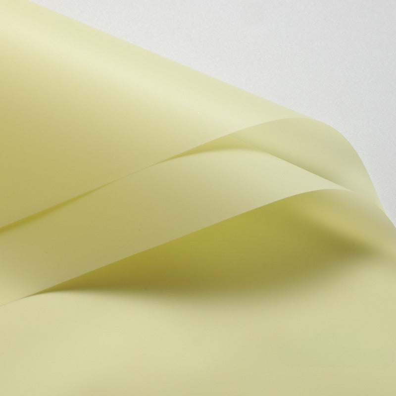 20pcs Translucent Frosted Florist Paper (58x58cm)