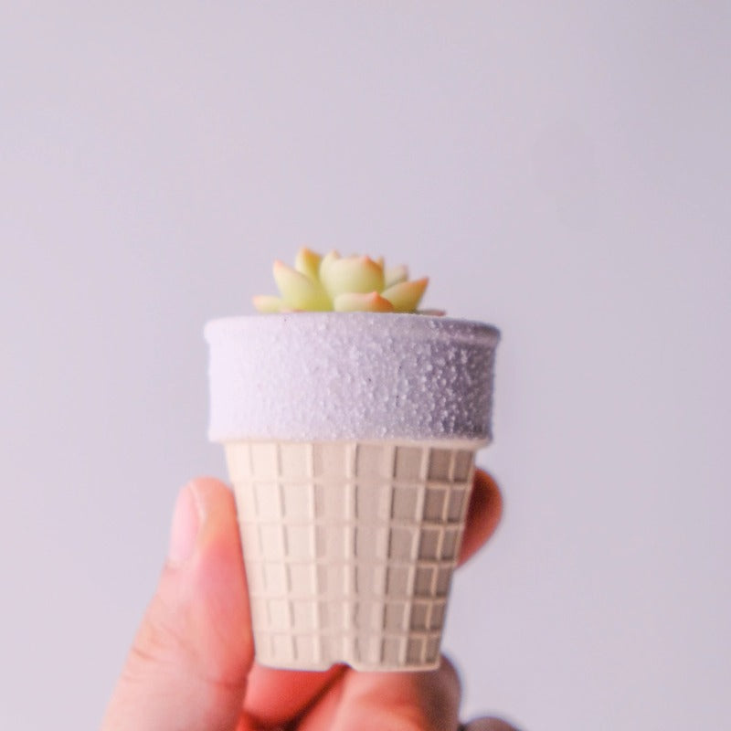 ice cream cone planter pot Set of 6 Ice Cream Cone Mini Plant Pots