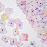 Load image into Gallery viewer, 100 Pcs Dried Pressed Watercolor Hydrangea Petals