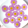 (2.5-3cm) purple 50pcs