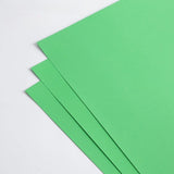 Load image into Gallery viewer, 10pcs 180gsm Hard Cardstock Bouquet Paper (44x58cm)