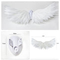 1 device+ small wings (without batteries))