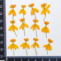 60 pièces jaune