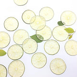Load image into Gallery viewer, 10 Pcs Real Dried Pressed Green Lemon Slices